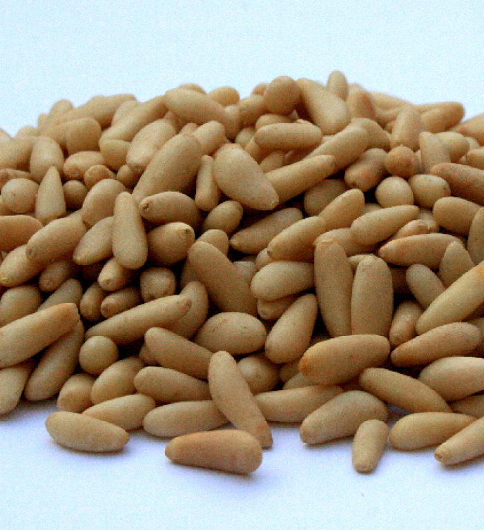 PIÑON ENTERO TOSTADO NACIONAL  1KG